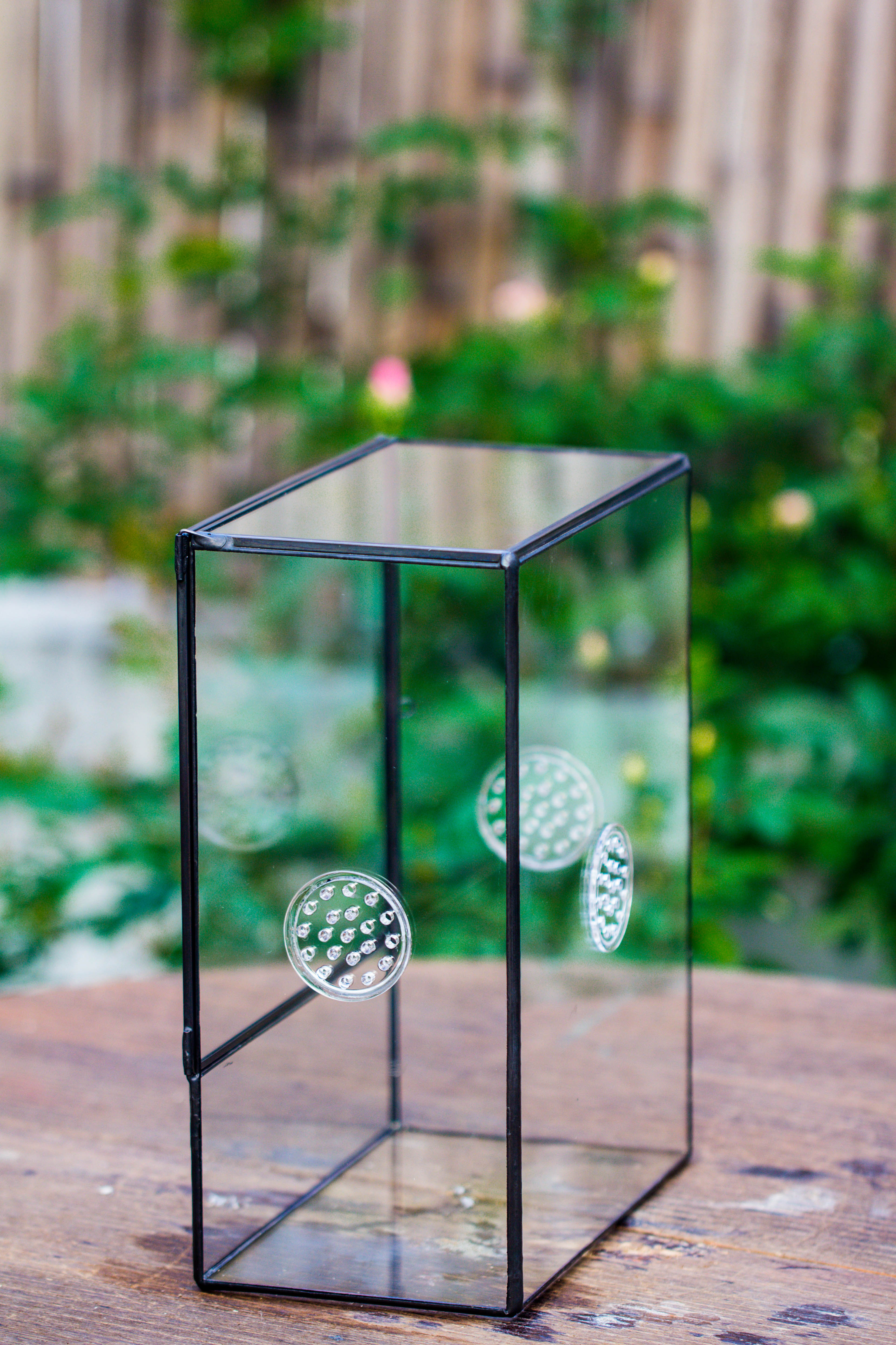 Close Geometric Glass Tin Terrarium with 3 Vents , 8x10" with side door, for insects, snail , spider, micro landscape  -with white light set - NCYPgarden