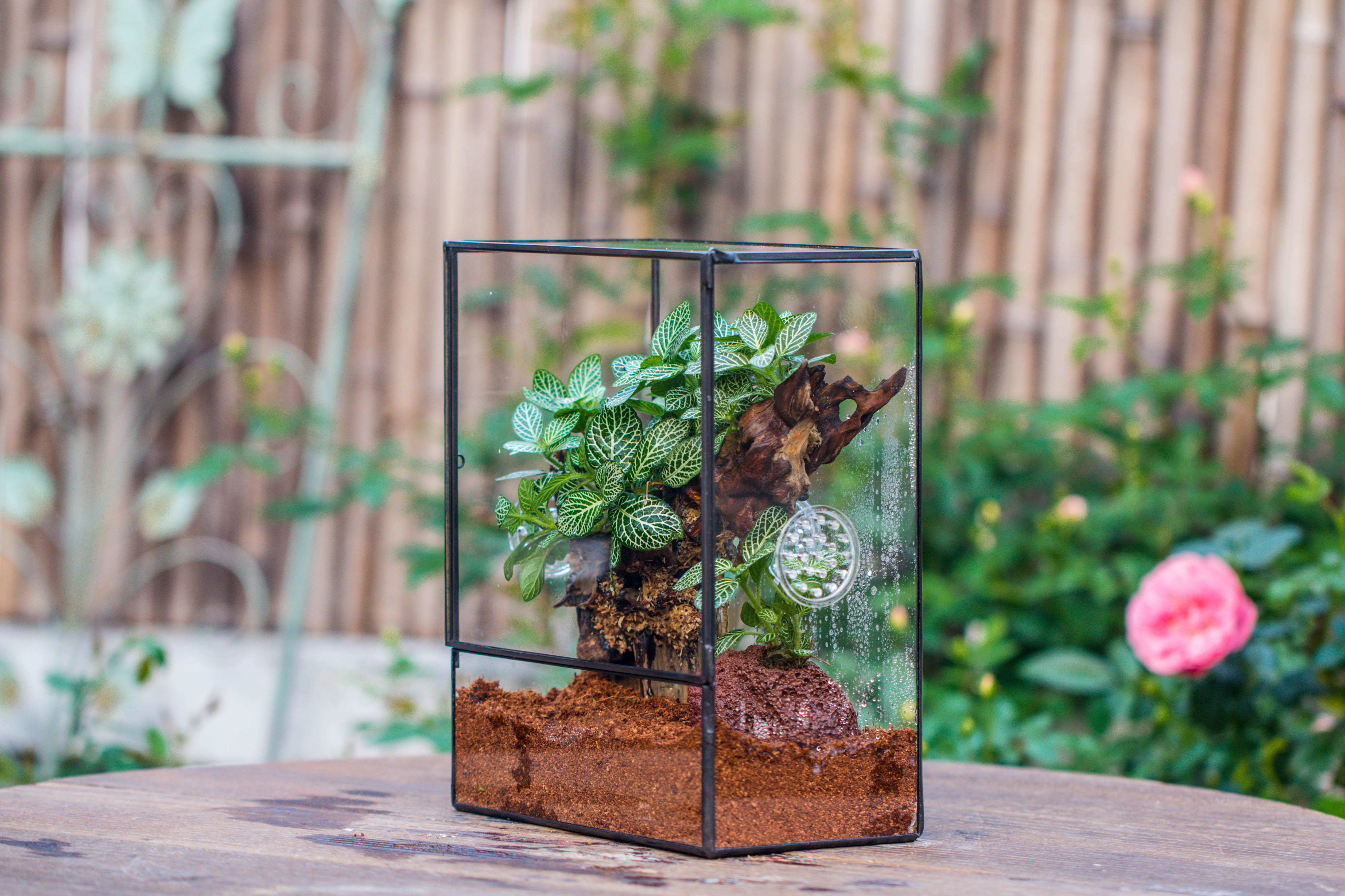 Close Geometric Glass Tin Terrarium with 3 Vents , 8x10" with side door, for insects, snail , spider, micro landscape  -with warm light set - NCYPgarden