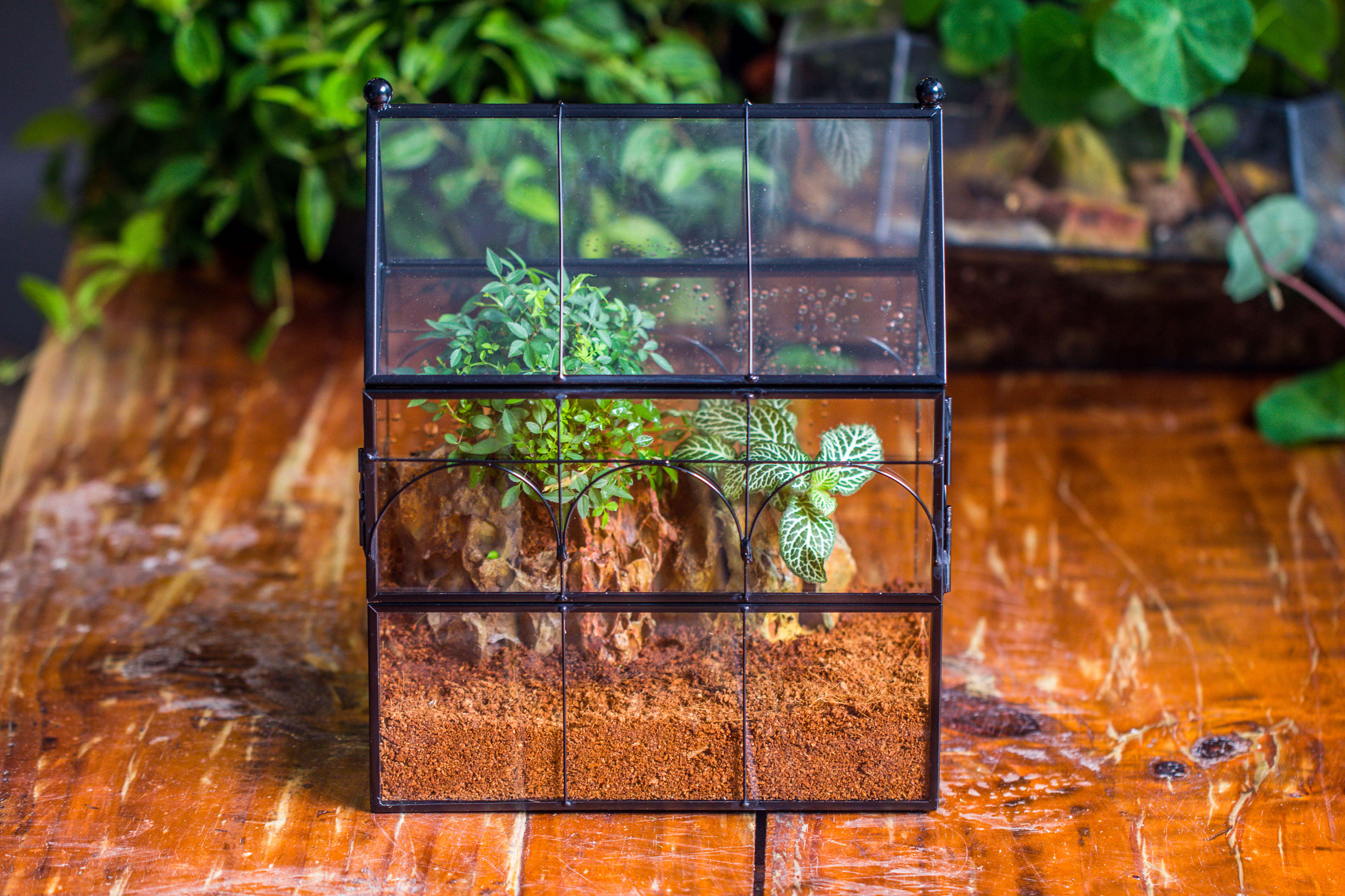 Handmade Terrarium with Light, House Shape Glass Geometric Terrarium with LED Light Set, Wooden Base, Jumping Spider Terrarium,Gift for Dad - NCYPgarden