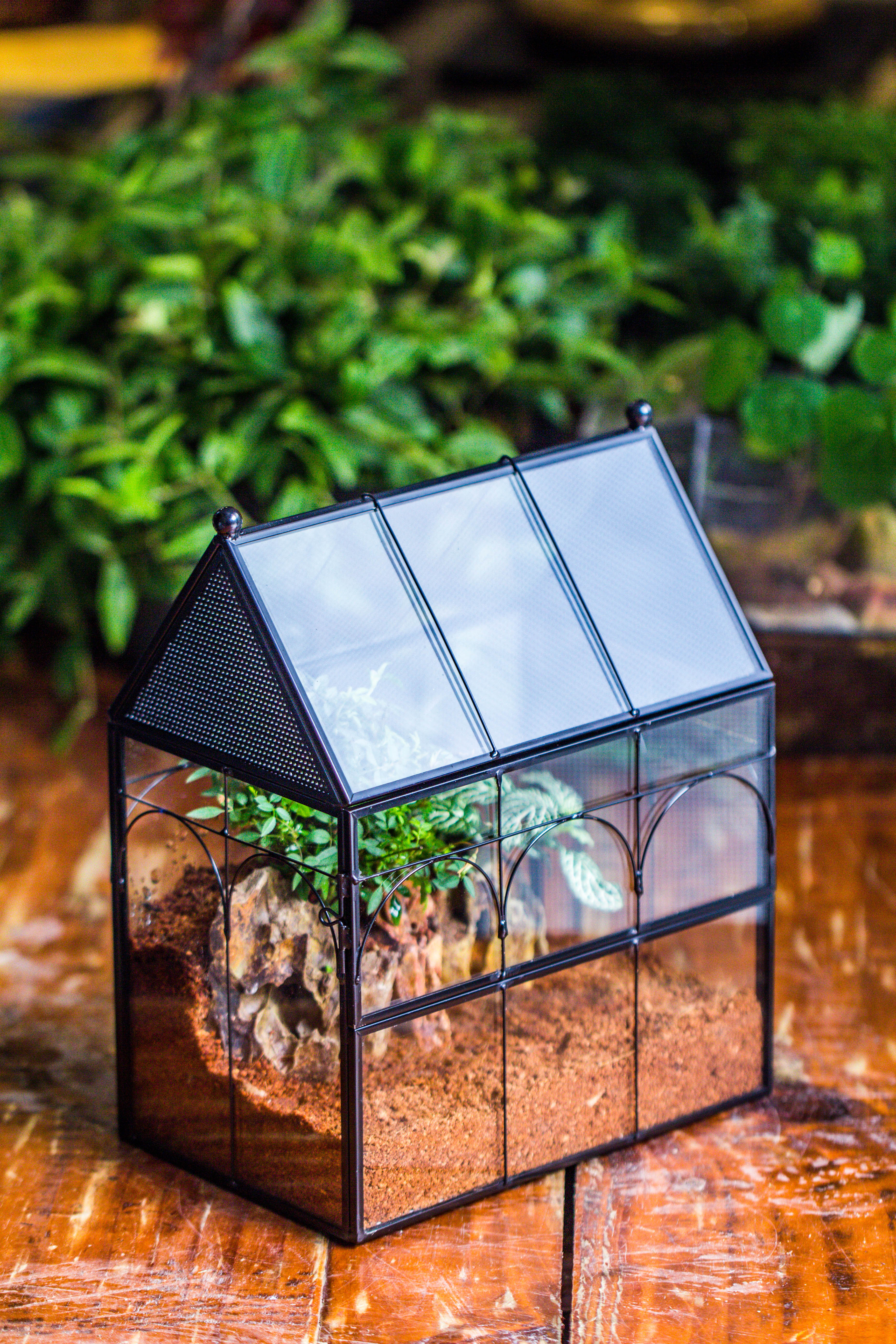 Handmade Terrarium with Light, House Shape Glass Geometric Terrarium with LED Light Set, Wooden Base, Jumping Spider Terrarium,Gift for Dad - NCYPgarden