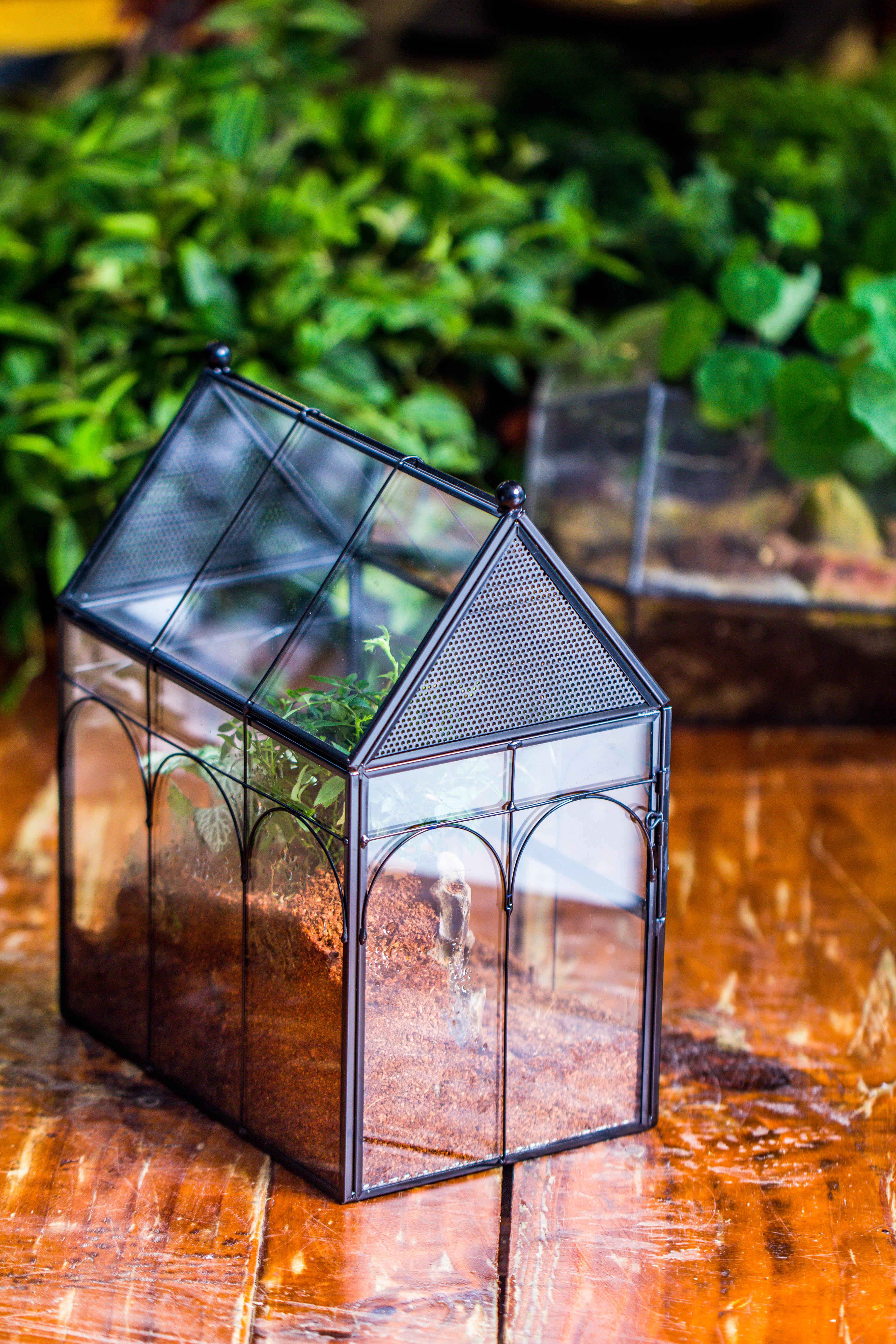 Handmade Terrarium with Light, House Shape Glass Geometric Terrarium with LED Light Set, Wooden Base, Jumping Spider Terrarium,Gift for Dad - NCYPgarden