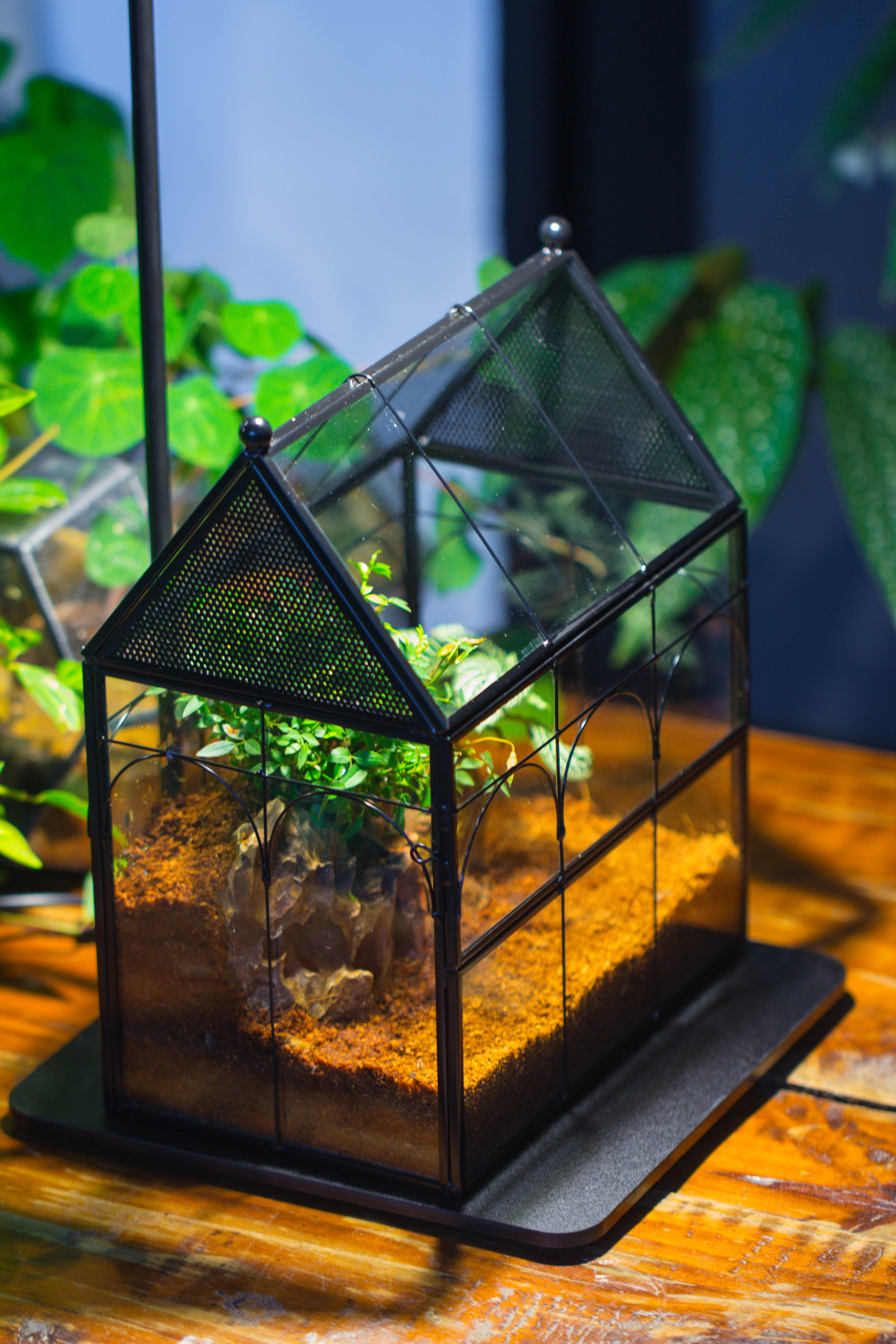 Handmade Terrarium with Light, House Shape Glass Geometric Terrarium with LED Light Set, Wooden Base, Jumping Spider Terrarium,Gift for Dad - NCYPgarden