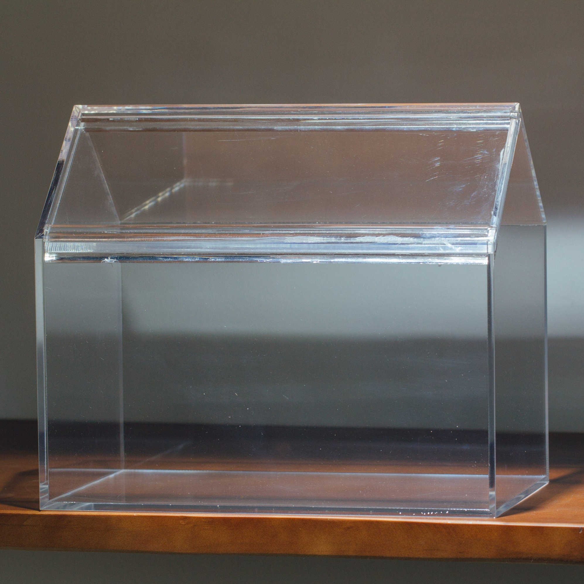 handmade water tight, sealed, enclosed, house acrylic terrarium, fish tank, moss fern terrarium Paludarium  Vivarium, 2 lid with vent - NCYPgarden