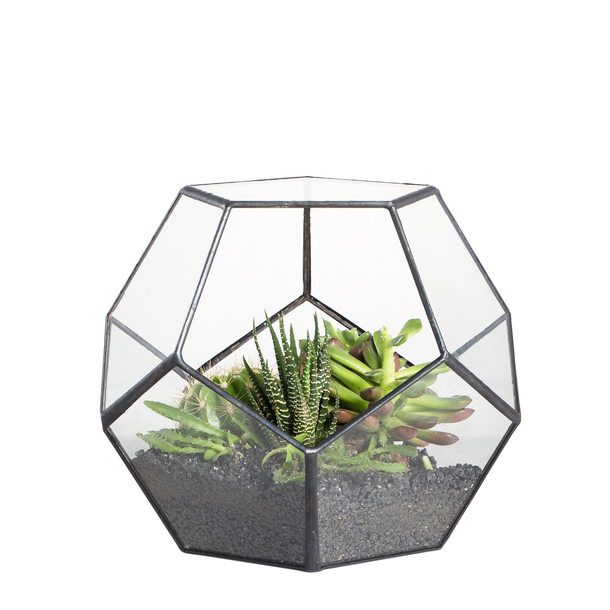 Handmade Silver Black Various Size Pentagon Glass Geometric Terrarium for Succulents Airplants Cacti - NCYPgarden