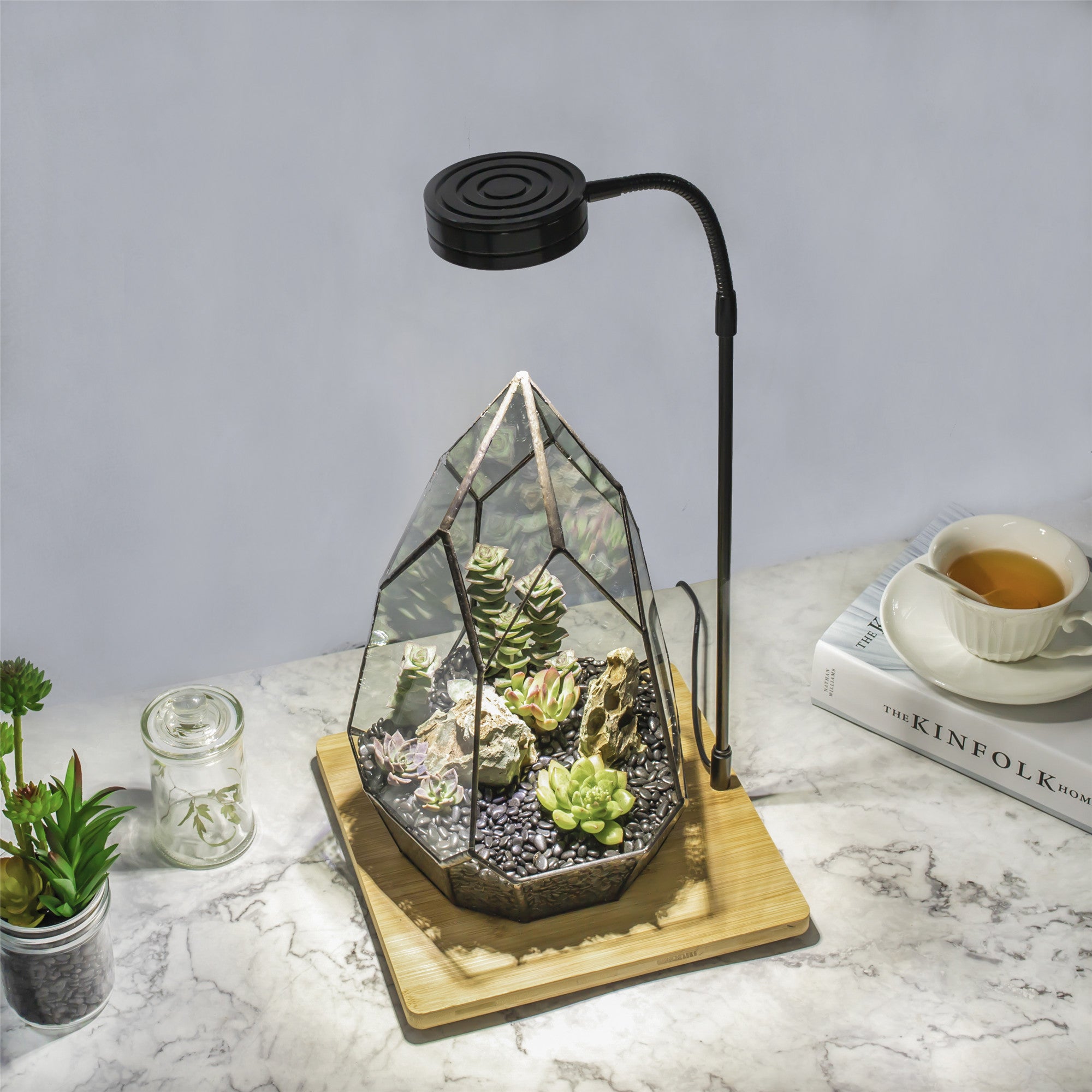 NCYP Tabletop Board  LED Succulents Grow Light Display Indoor Terrarium for  Succulents Moss - NCYPgarden