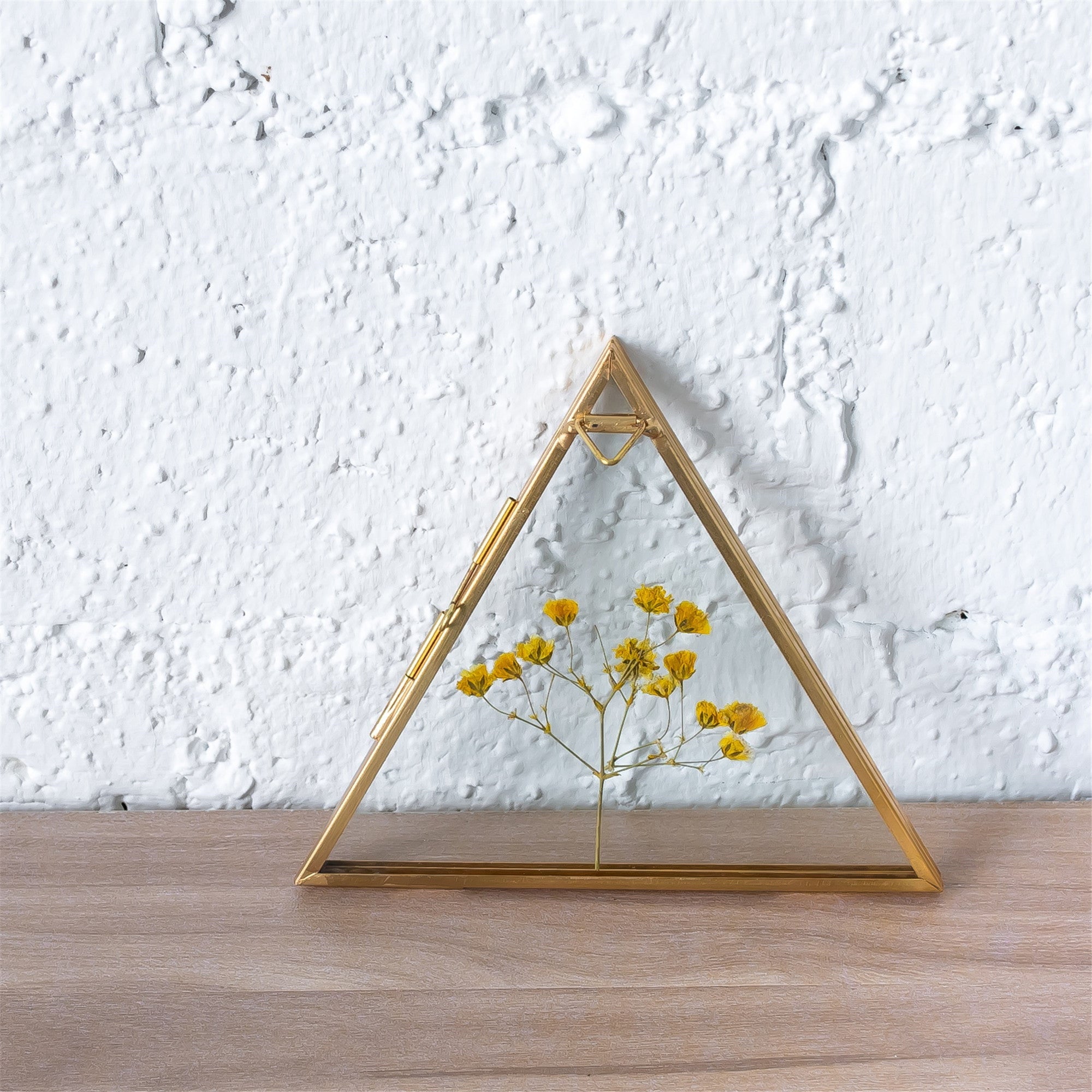 Hanging Triangle Herbarium Brass Glass Frame for Pressed Flowers Dried Flowers Poster - NCYPgarden