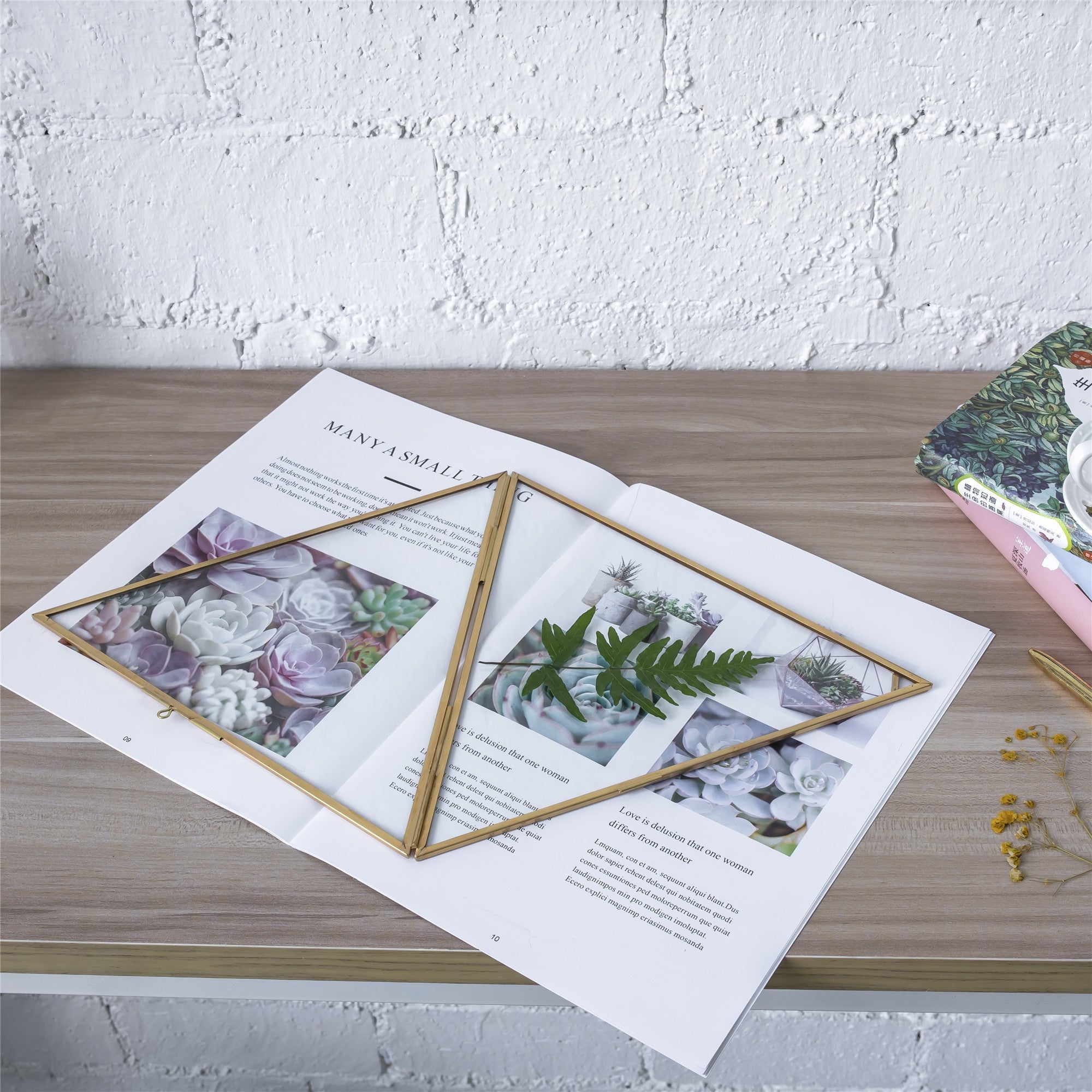 Hanging Triangle Herbarium Brass Glass Frame for Pressed Flowers Dried Flowers Poster - NCYPgarden