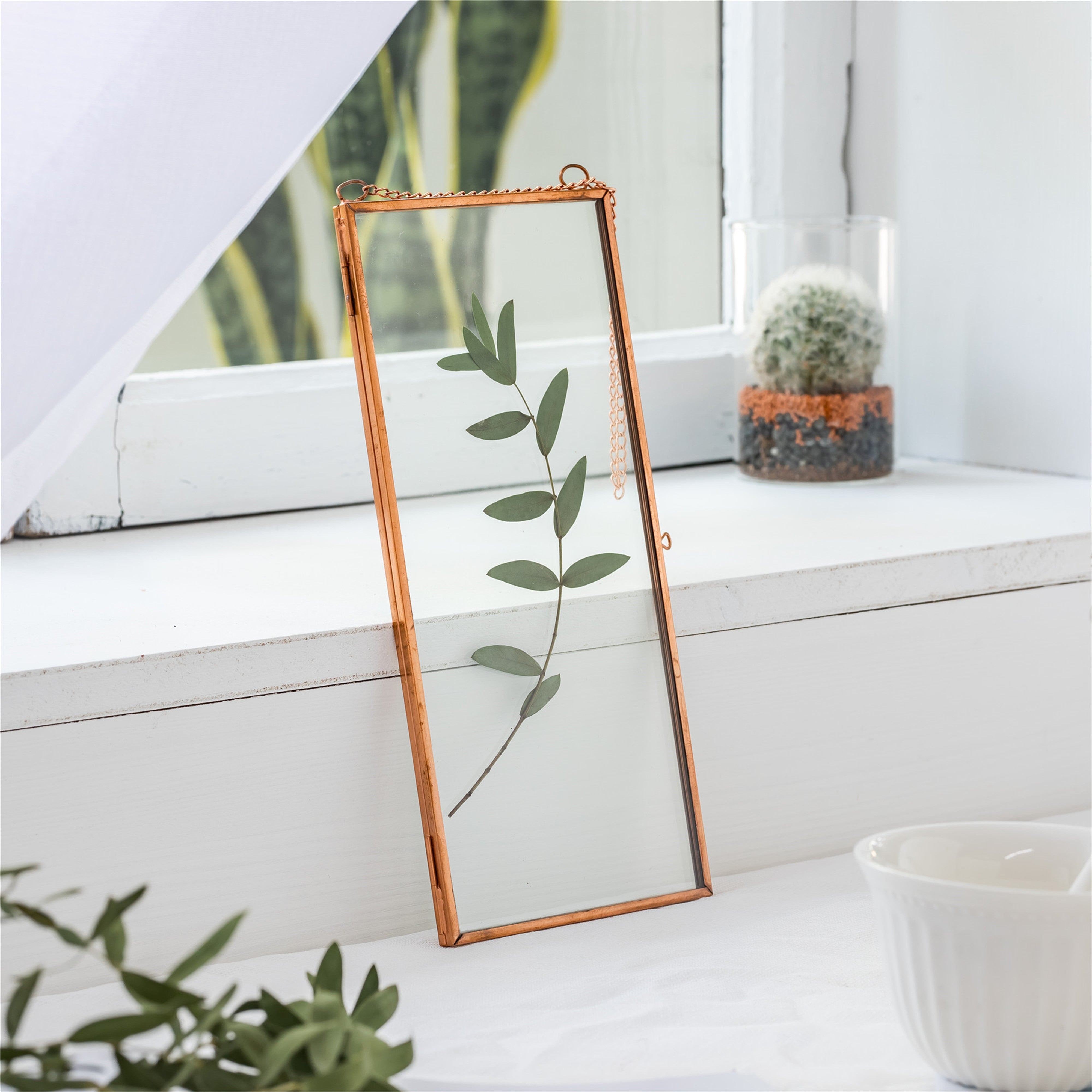 NCYP 4x9 inchs Clear Glass Picture Frame Wall Hanging Certificate Photo Plant Specimen Clip - NCYPgarden