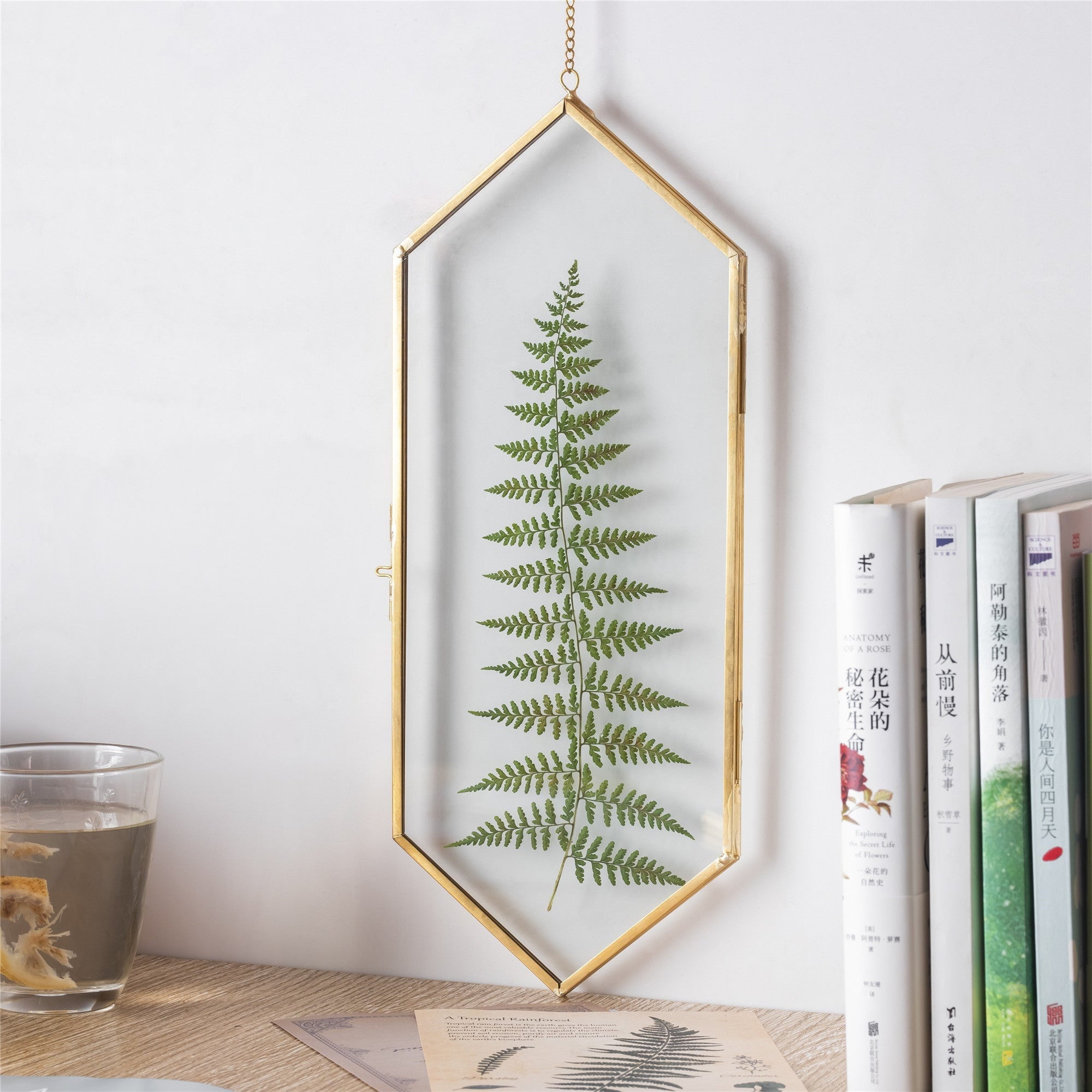 NCYP Vintage Gold Brass Floating Hanging Glass Long Hexagon Photo Frame for Fern, Pressed Flower - NCYPgarden