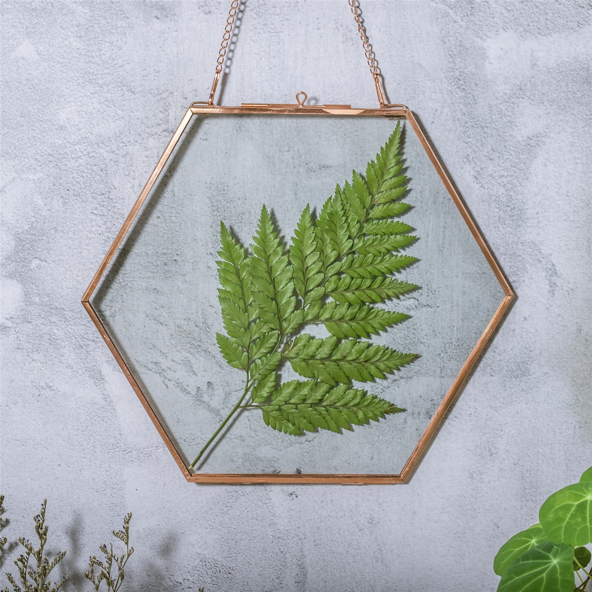 Hanging Hexagon Herbarium Copper Glass Frame for Pressed Flowers Dried Flowers Floating Frame - NCYPgarden