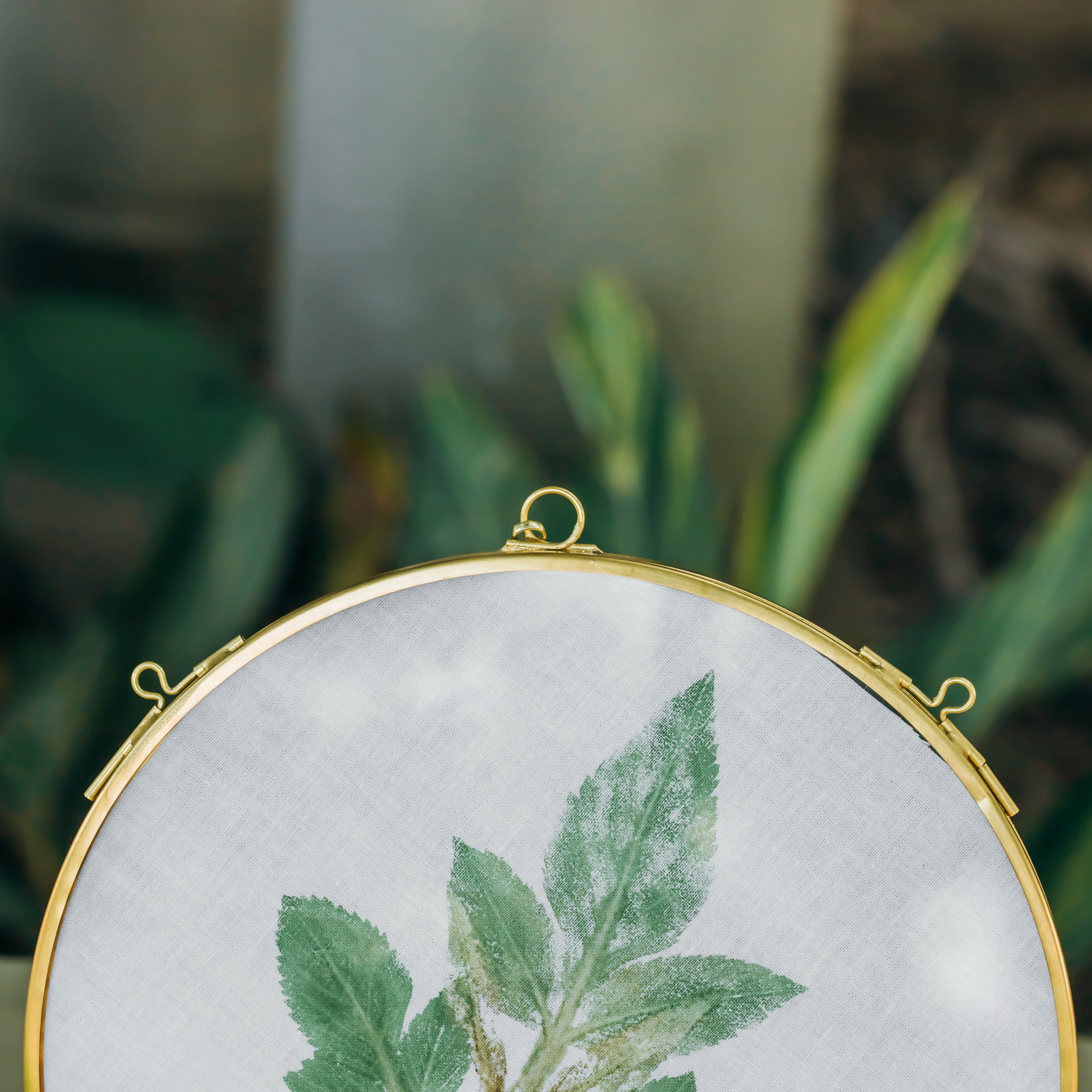 Round 6", 7" 10" 12" gold herbarium brass glass frame, Brass and Glass - NCYPgarden