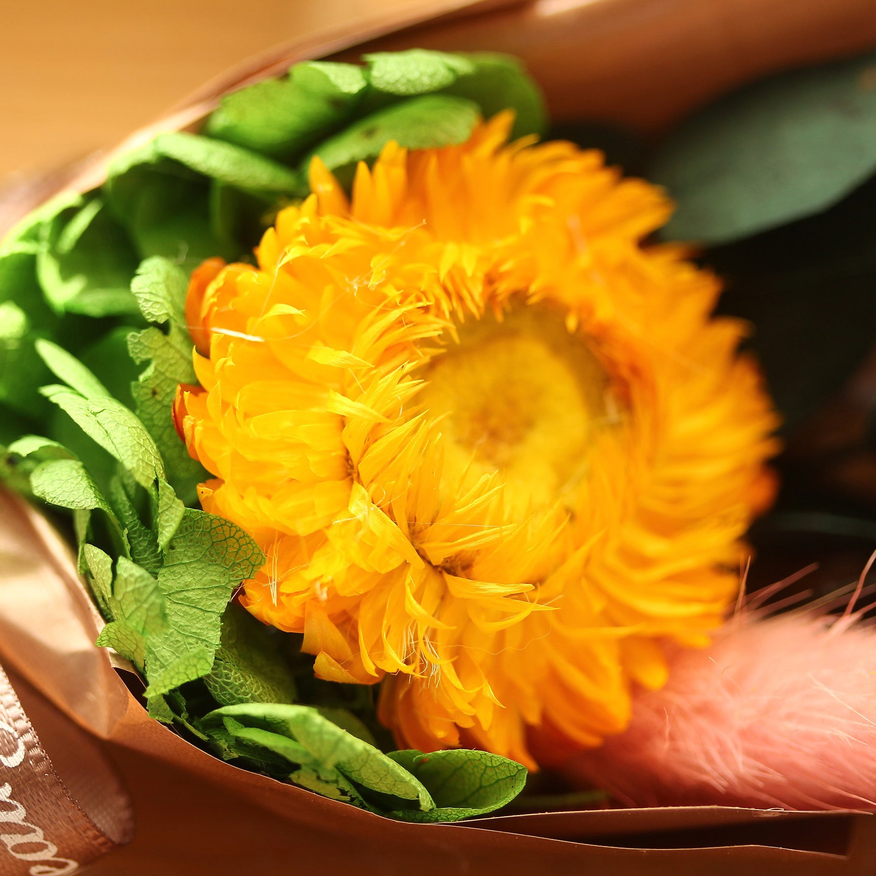 Dried Flowers Terrarium Gift Set Dried Strawflower Bouquet in Glass Tube - NCYPgarden