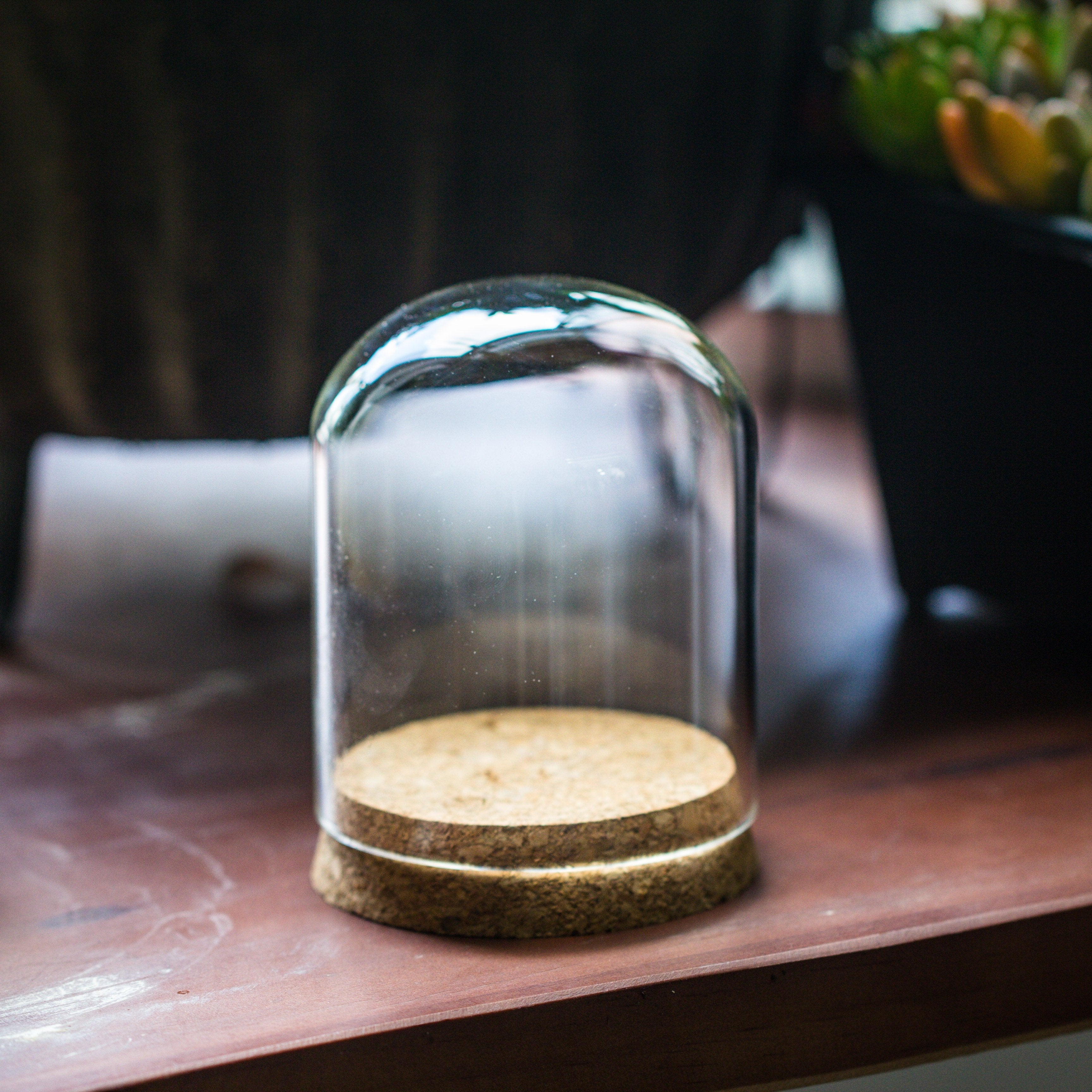 glass cloche dome tube glass cloche dome with corkplug multiple size available - NCYPgarden