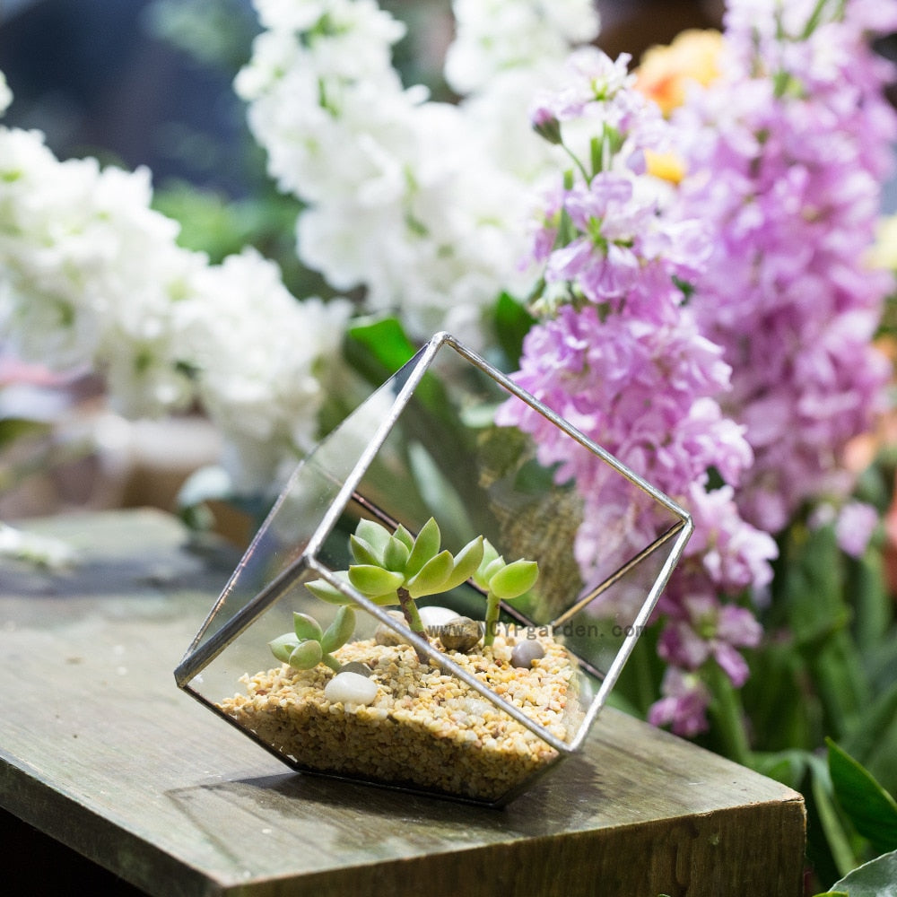 Handmade 3.93" / 10cm Silver Square Inclined Open Cube Glass Geometric Terrarium Box for Succulents - NCYPgarden