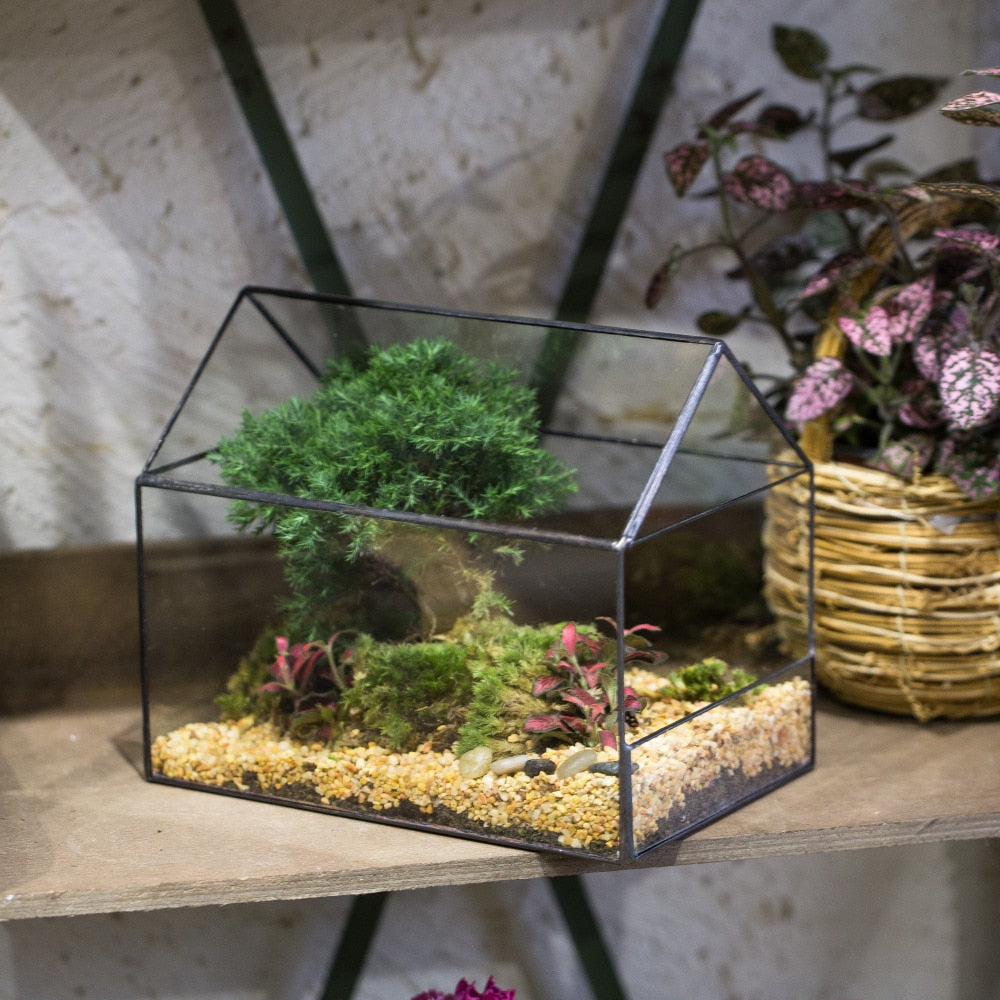 Handmade House Shape Open on the Side Glass Geometric Terrarium for Fern Moss Succulents Airplants - NCYPgarden