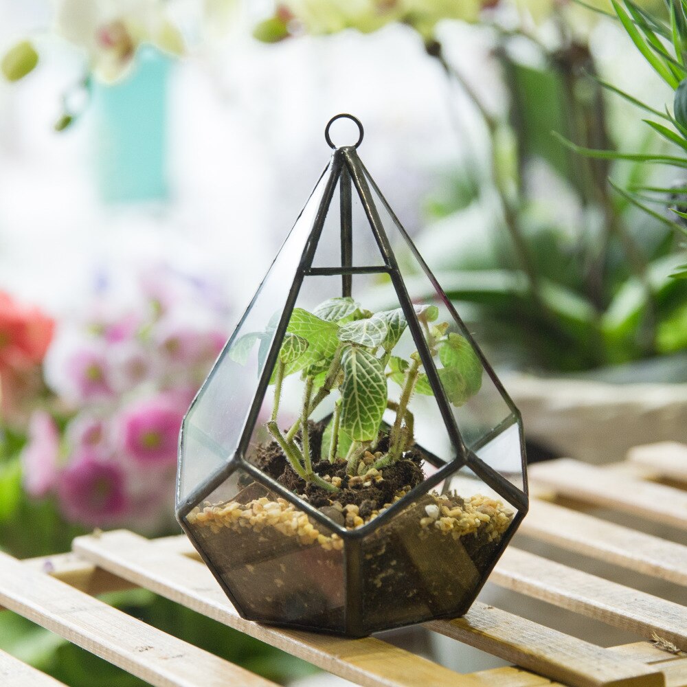 Handmade Small Teardrop Hanging Clear Glass Geometric Terrarium for Succulent Fern Airplants - NCYPgarden