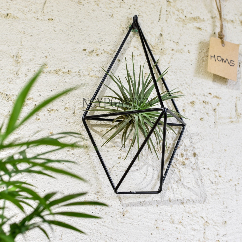 Rustic Wall Mount Hanging Geometric Metal Tillandsia Air Plants Holder Iron Rack Black Wall Accent - NCYPgarden