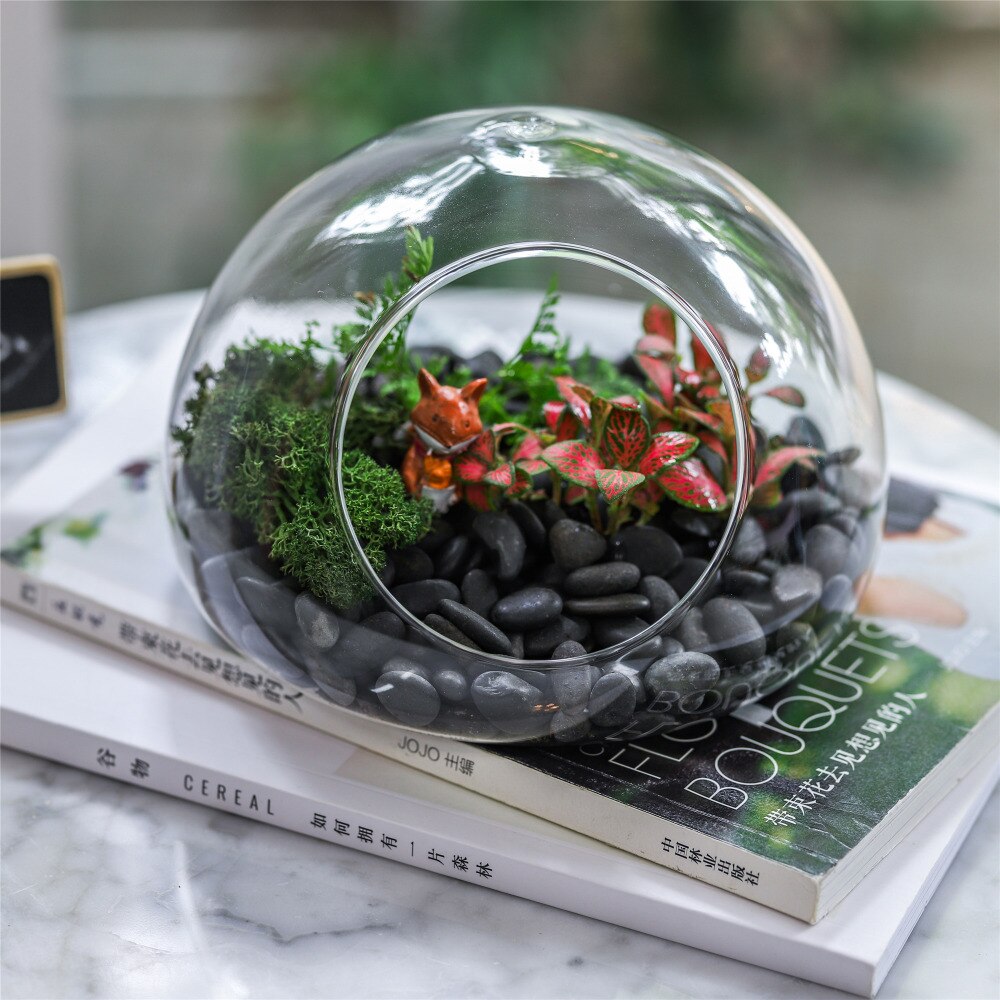 Hand Blown Glass Bubble Shape Globe Terrarium for Miniature Micro Landscape Airplants Moss - NCYPgarden